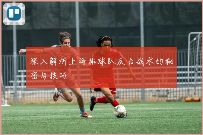 深入解析上海排球队反击战术的秘密与技巧