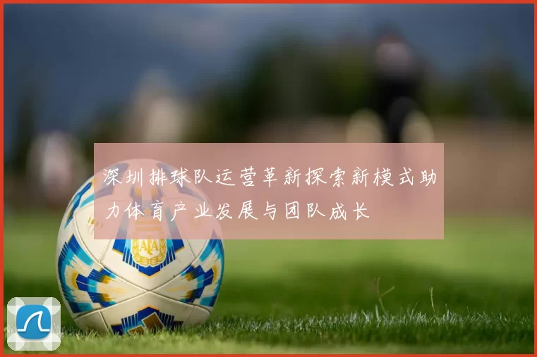 深圳排球队运营革新探索新模式助力体育产业发展与团队成长
